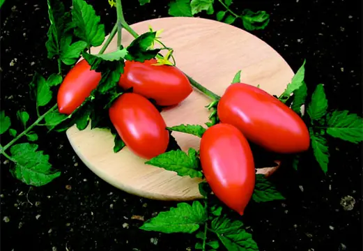 Längliche rote Tomaten auf einem Holzbrett