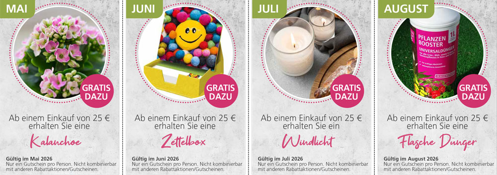 Gutschein-Karten von Pflanzenwelt Dienst