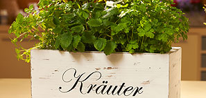 Kräuter und Gewürze