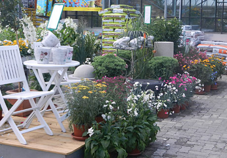 Pflanzendünger, Blumenerde, Rankhilfen - Gartencenter Pfalz