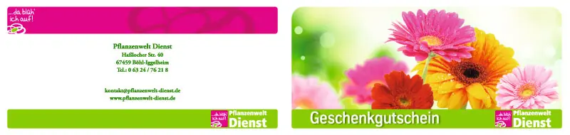 Außenseite des Geschenkgutscheins mit bunten Gerbera